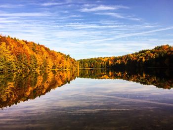 Reflection of trees in lake