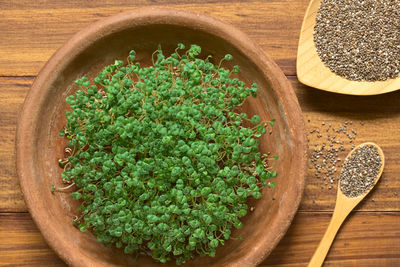 High angle view of vegetables in bowl