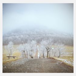 Scenic view of field in foggy weather