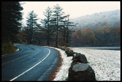 Road by trees against sky