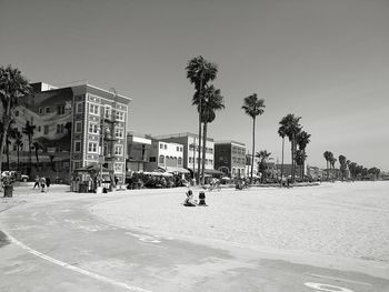 Palm trees in city against clear sky