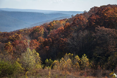 Scenic view of mountains during autumn