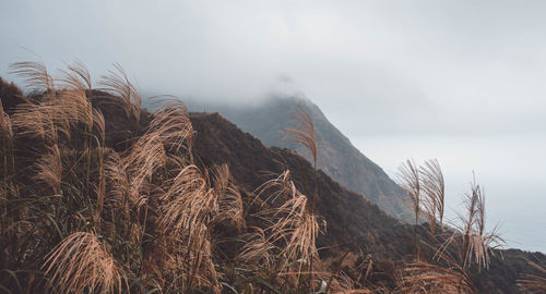 Panoramic view of land and mountains against sky