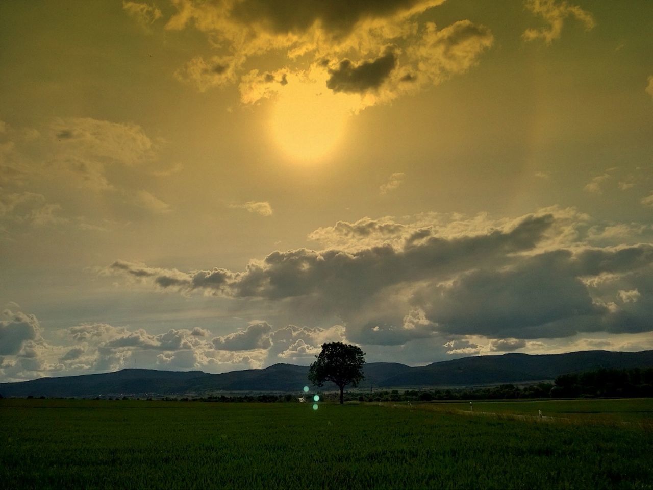 sky, grass, field, landscape, cloud - sky, tranquil scene, scenics, tranquility, beauty in nature, sunset, nature, grassy, cloudy, cloud, rural scene, idyllic, tree, green color, weather, non-urban scene