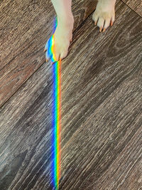Low section of person on multi colored wood