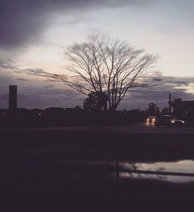 bare tree, silhouette, tree, sunset, sky, transportation, car, dusk, cloud - sky, land vehicle, road, branch, street, illuminated, nature, mode of transport, street light, cloud, tranquility, dark