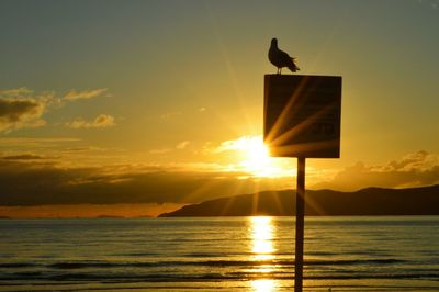 Scenic view of sea at sunset