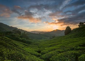 Scenic view of landscape against sky during sunset