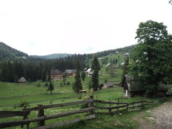 Scenic view of grassy field against sky