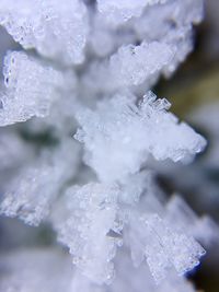 Close-up of frozen water