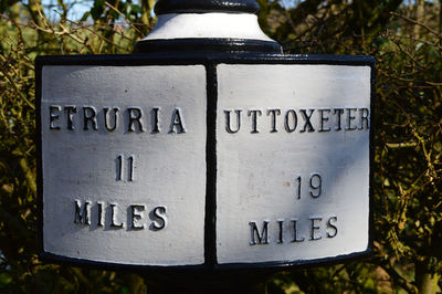 Close-up of text on plant