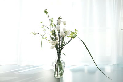 Close-up of white flower vase on table