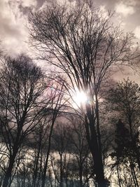 Low angle view of bare trees against sky