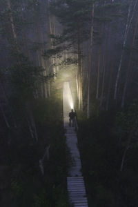 People walking on footpath in forest