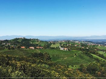 Scenic view of agricultural field against clear sky