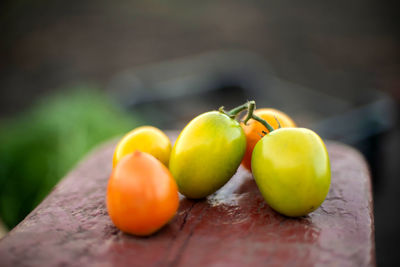 Close-up of tomatoes