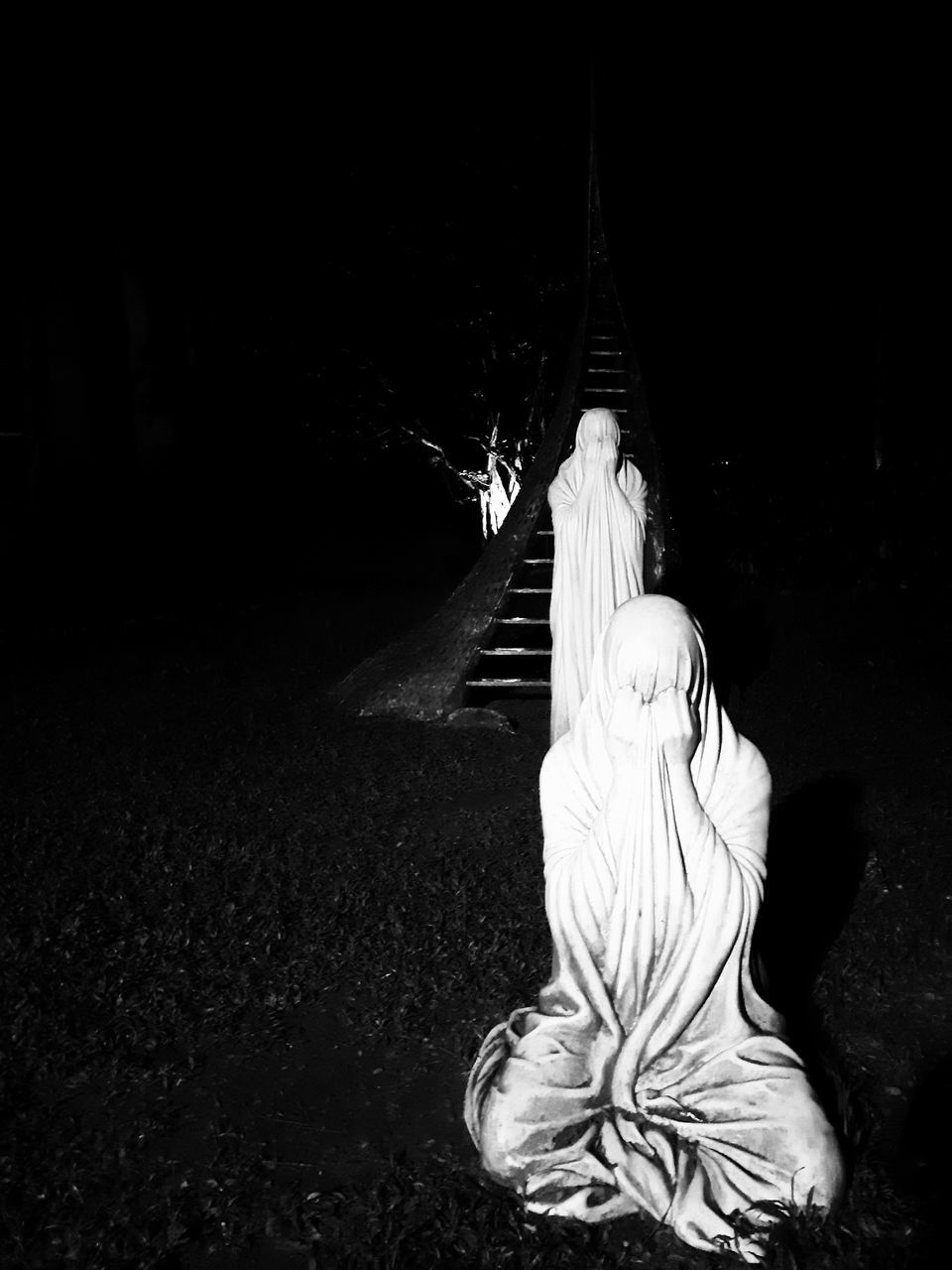 night, statue, outdoors, no people, sculpture, nature, beauty in nature, close-up