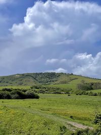 Scenic view of landscape against sky