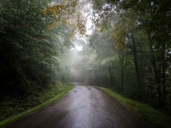 Road amidst trees in forest during rainy season