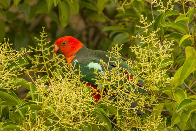 Bird perching on plant