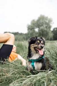 Portrait of man with dog on green field