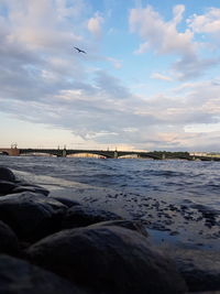 View of birds flying over sea