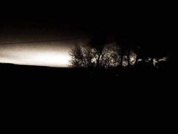 Silhouette of trees at sunset