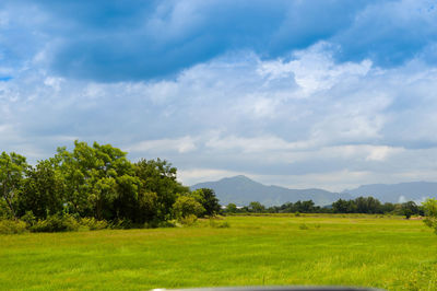 Scenic view of landscape against sky