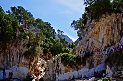 Panoramic view of rocks and trees against sky