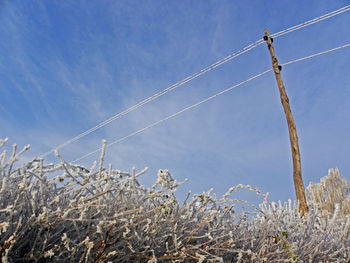 Low angle view of vapor trail against blue sky