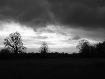 Silhouette bare trees on field against sky