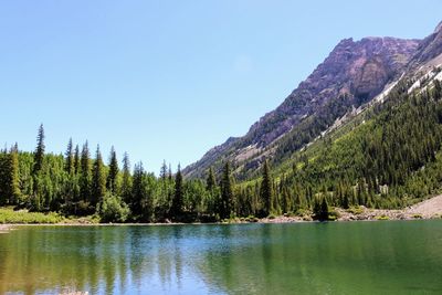 Scenic view of lake in forest against clear sky