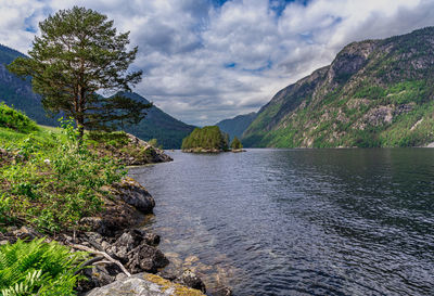 The small islets of lauvvikøyane on lake bandak.