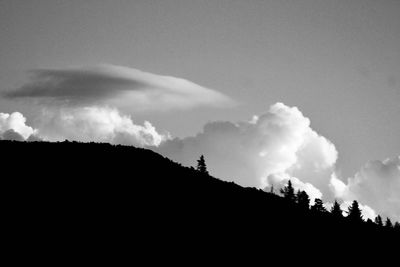 Low angle view of silhouette trees against sky