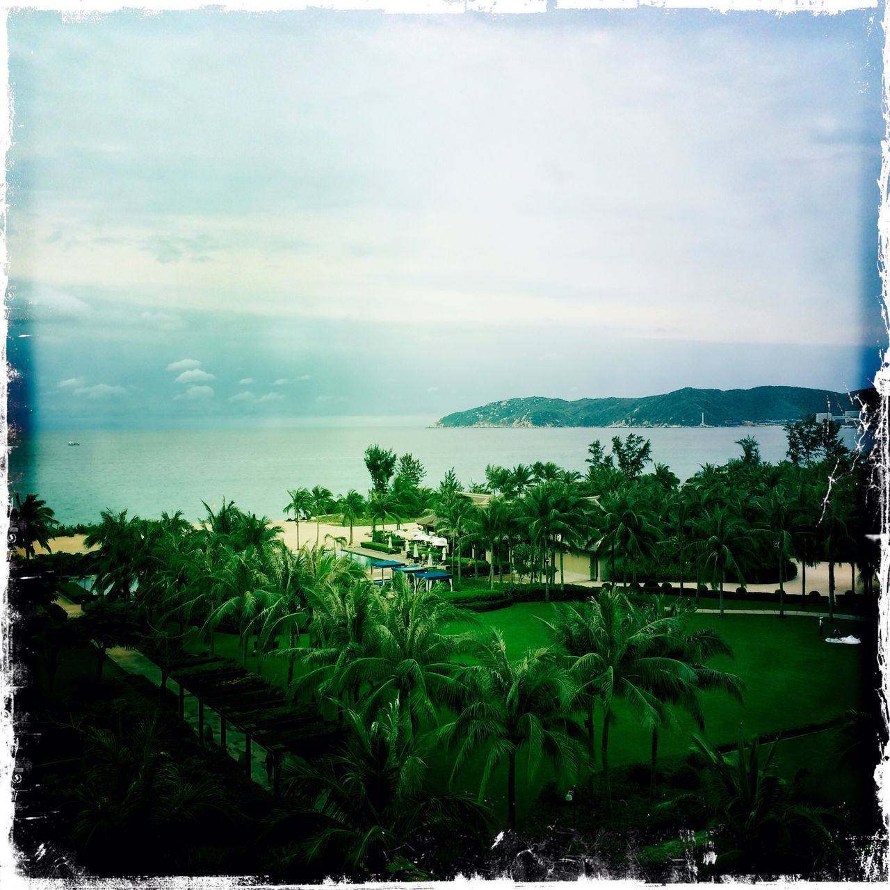 transfer print, tree, sky, tranquil scene, water, tranquility, auto post production filter, scenics, sea, green color, beauty in nature, nature, growth, horizon over water, cloud - sky, palm tree, cloud, plant, panoramic, day