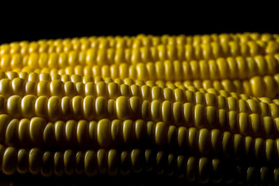 Close-up of sweetcorns against black background