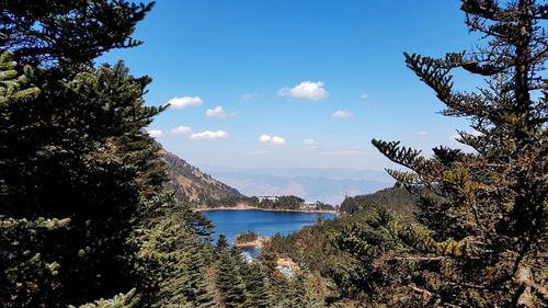 Scenic view of lake by trees against sky