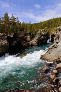 Scenic view of waterfall in forest against sky