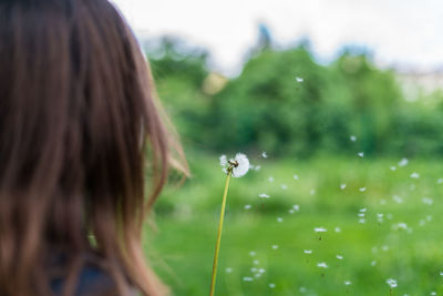 Cropped image of woman blowing dandelion seeds on field