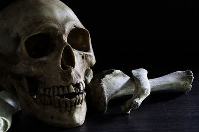 Close-up of human skull against black background