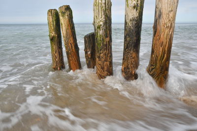 Panoramic view of wooden posts on beach