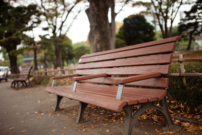 Empty bench on wooden bench
