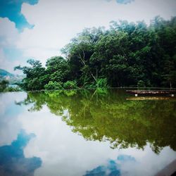 Reflection of trees in calm lake