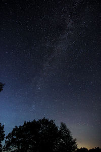 Low angle view of silhouette trees against star field