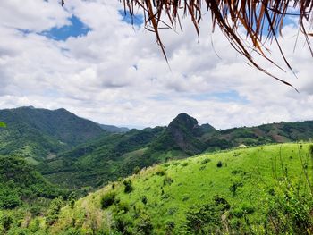 Scenic view of landscape against sky