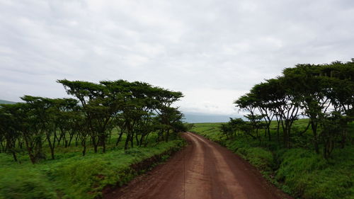 Empty road along trees and landscape against sky