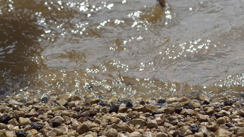 Full frame shot of pebble beach