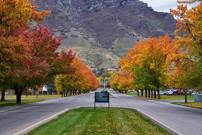 Fall landscape,