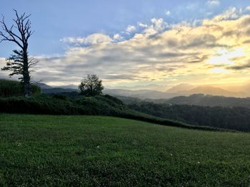 Scenic view of field against sky during sunset