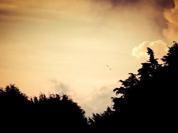 Silhouette birds flying against sky during sunset